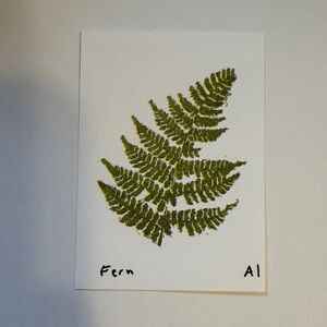 Ana Inciardi Mini Print, Fern